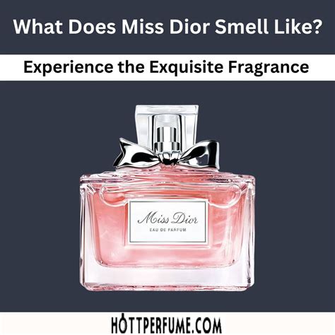 dior eau miss dior reviews|what smells like Miss Dior.